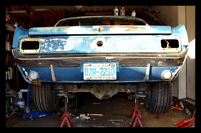 Rear%20New_zpskqw9ygff.webp