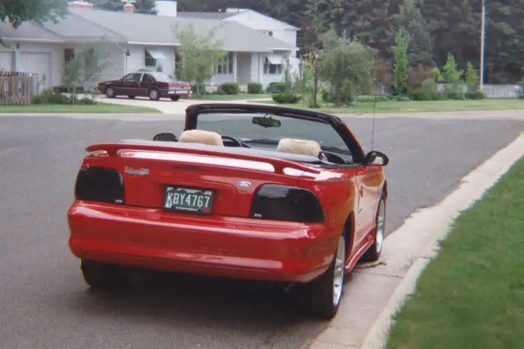 Rear-Blackouts-rear-750.webp