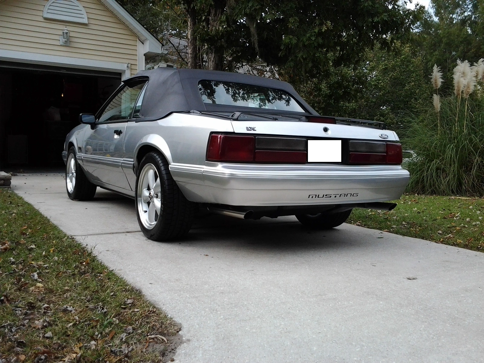 rear lights.webp