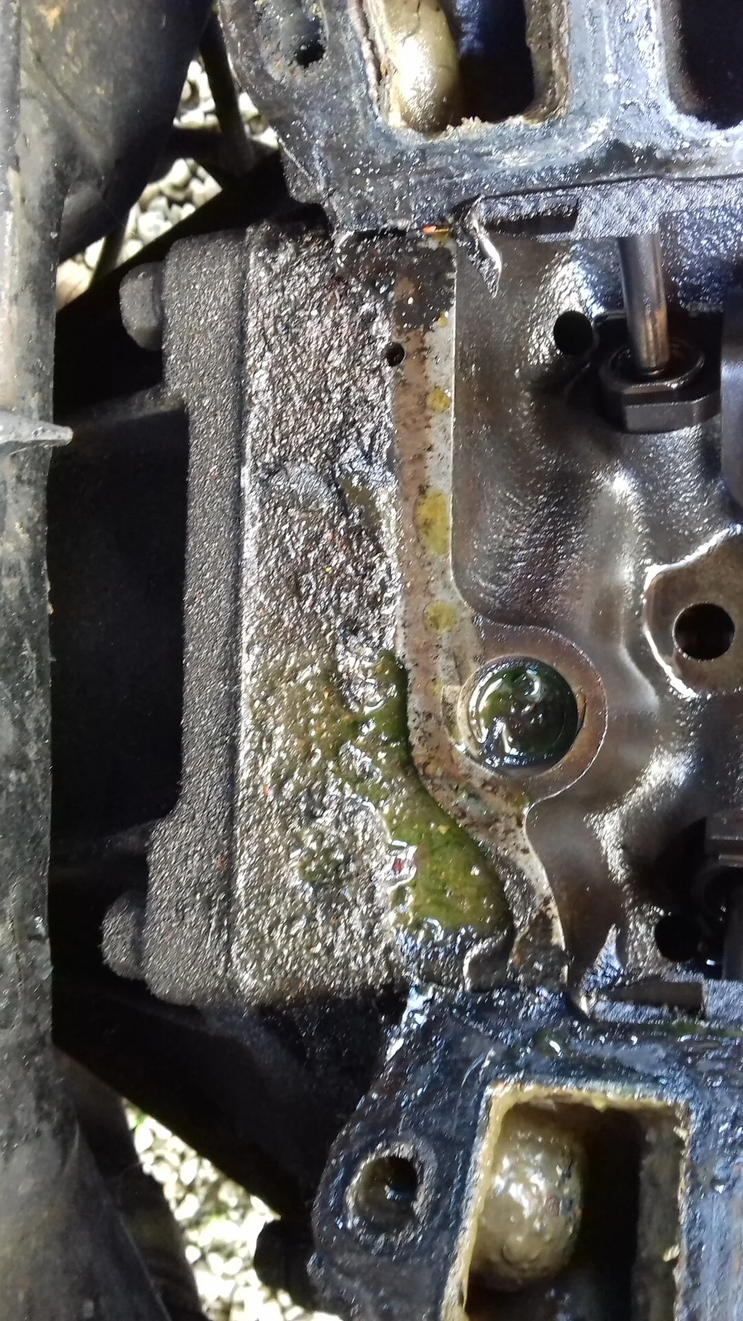 rear seal.webp