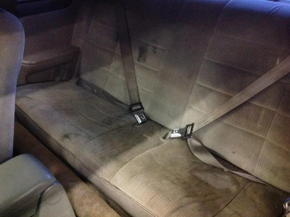 Rear Seat.webp