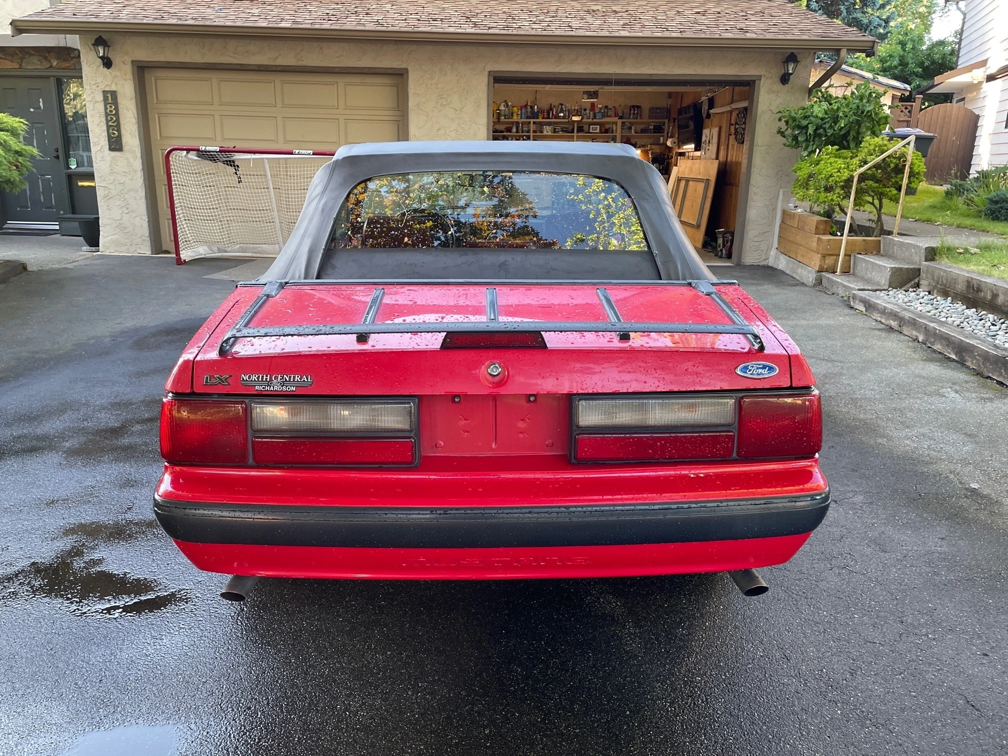REAR VIEW.webp