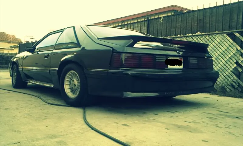 rear.webp