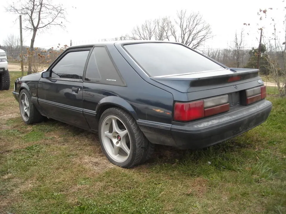 Rear.webp