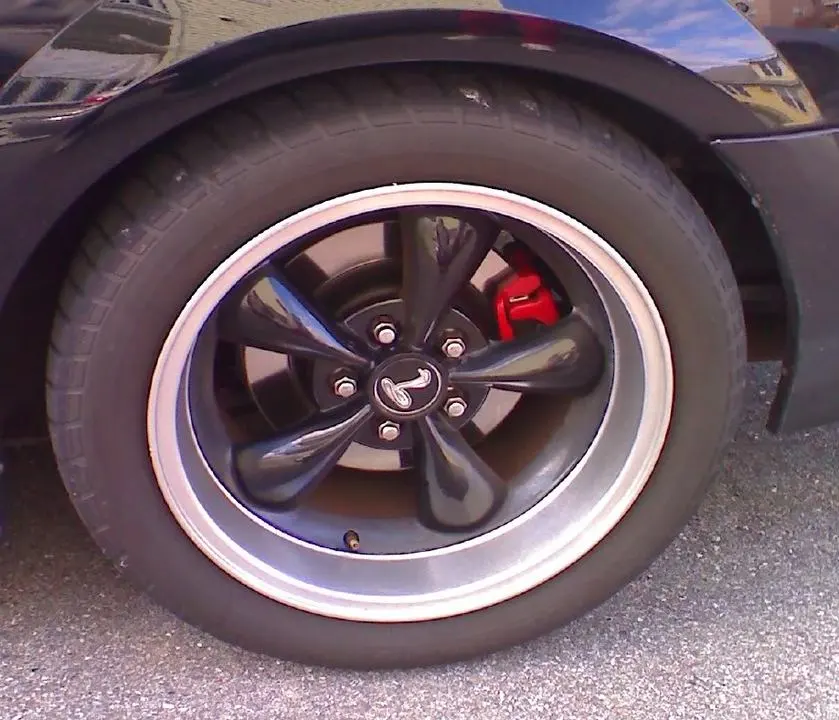 rear.webp