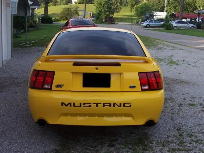 rear.webp