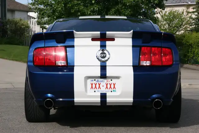 Rear.webp