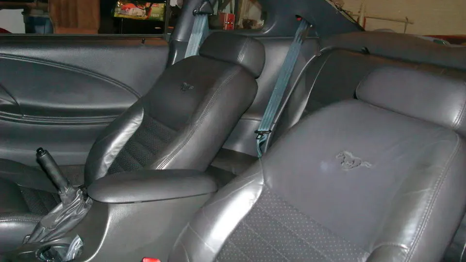 rear.webp