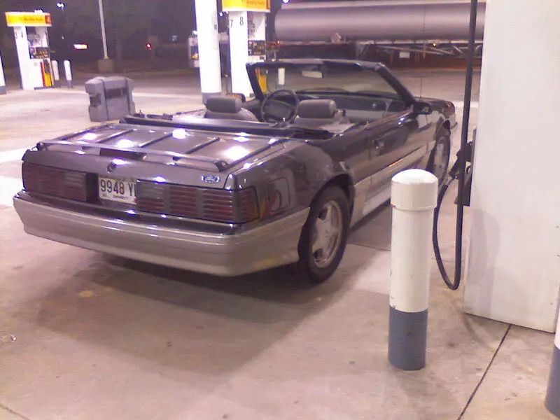 rear.webp