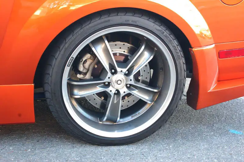 rear.webp