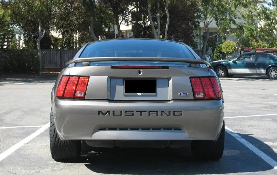 rear.webp