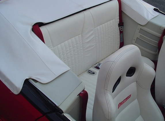 rear.webp