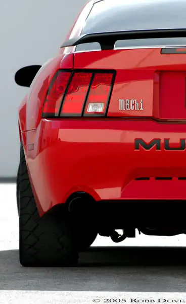rear.webp