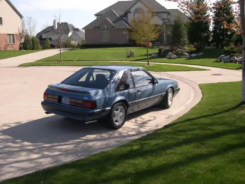 rear.webp