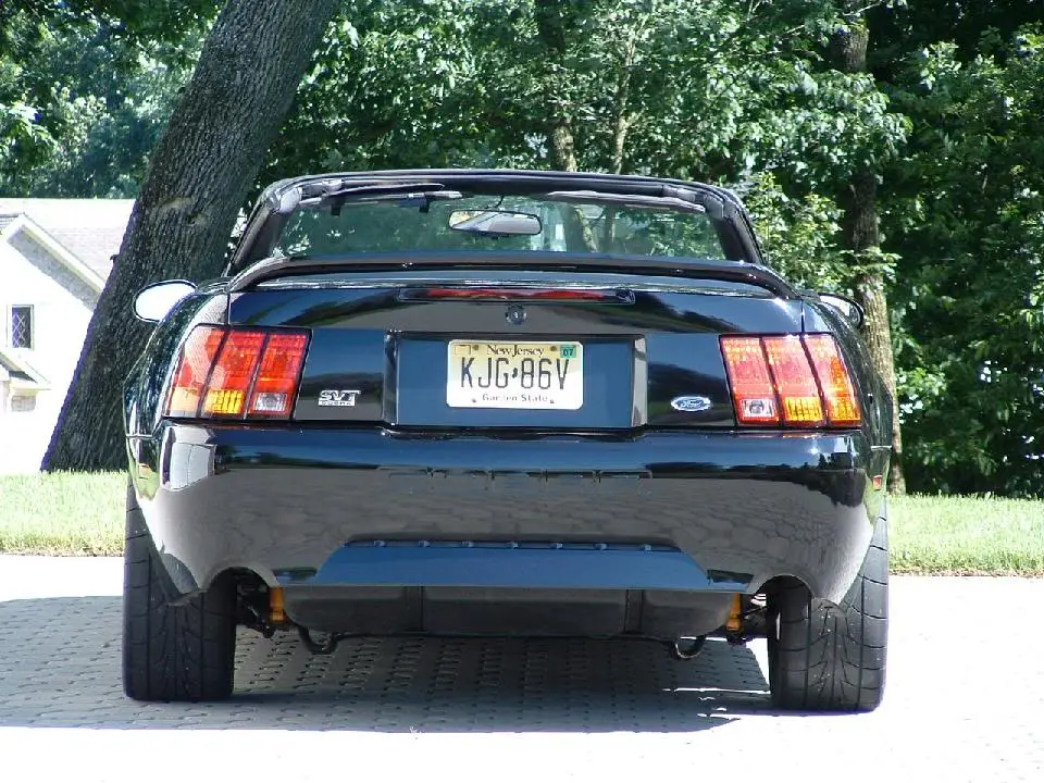 rear.webp