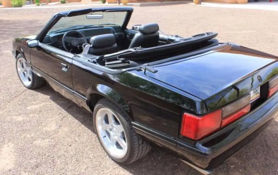 rear.webp