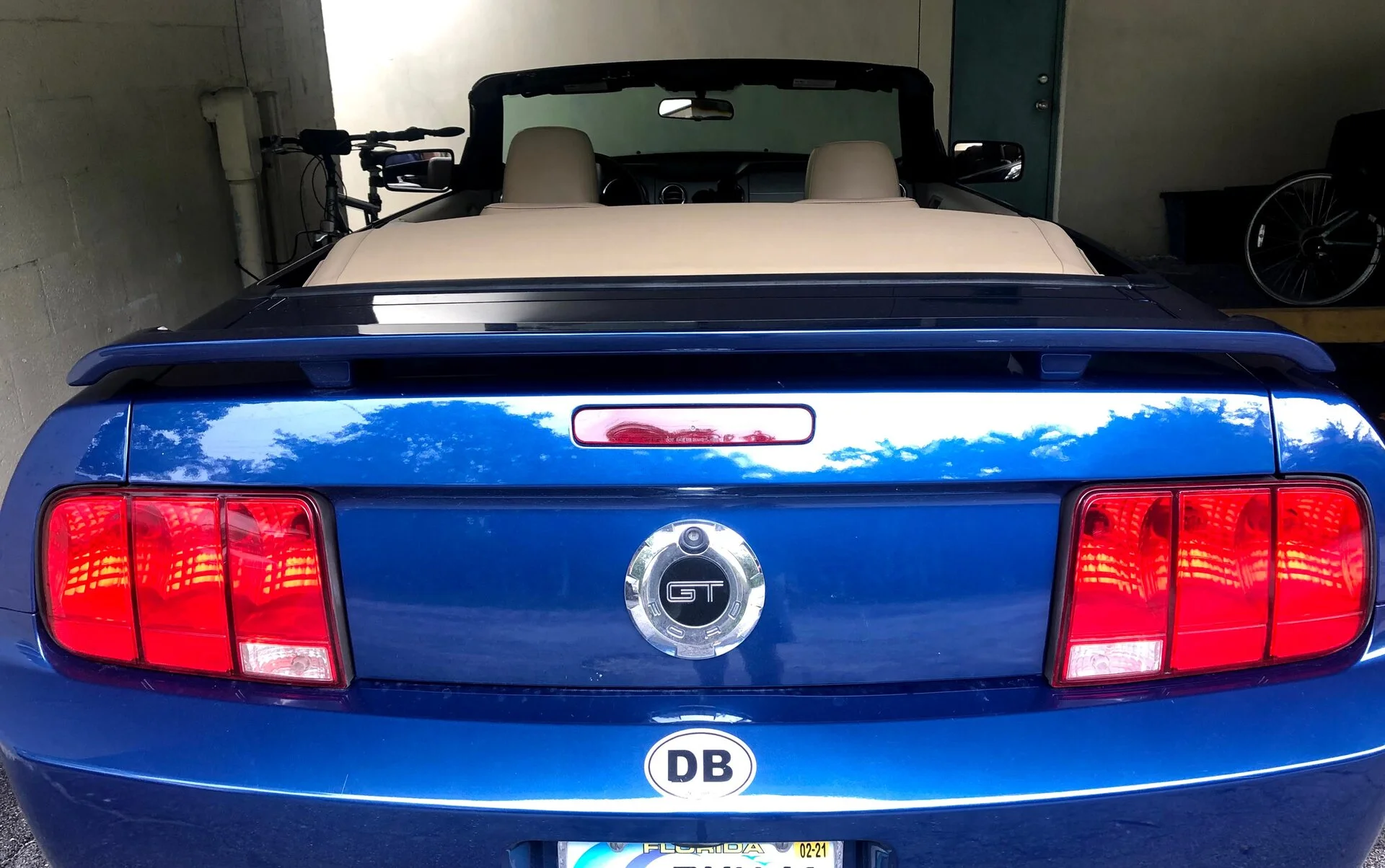 Rear.webp
