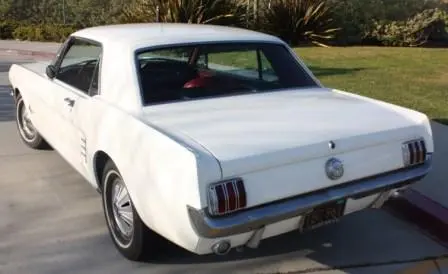 Rear.webp