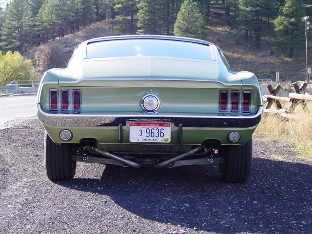 rear1.webp