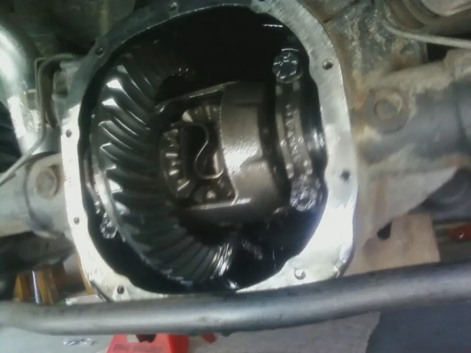 reardiff1-1.webp