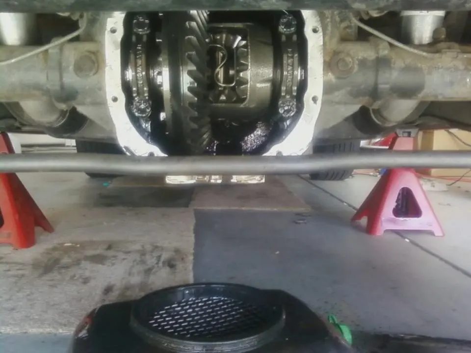 reardiff2.webp