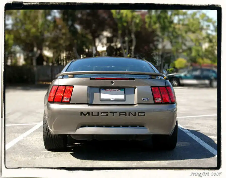 rearfocuseditframedresized.webp