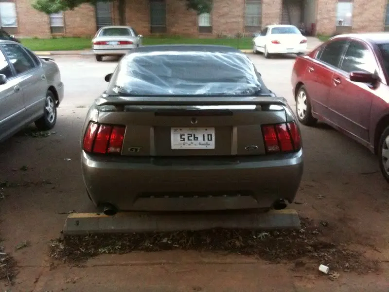 Rearofmustanggt.webp