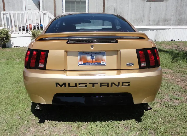 rearstang-1.webp