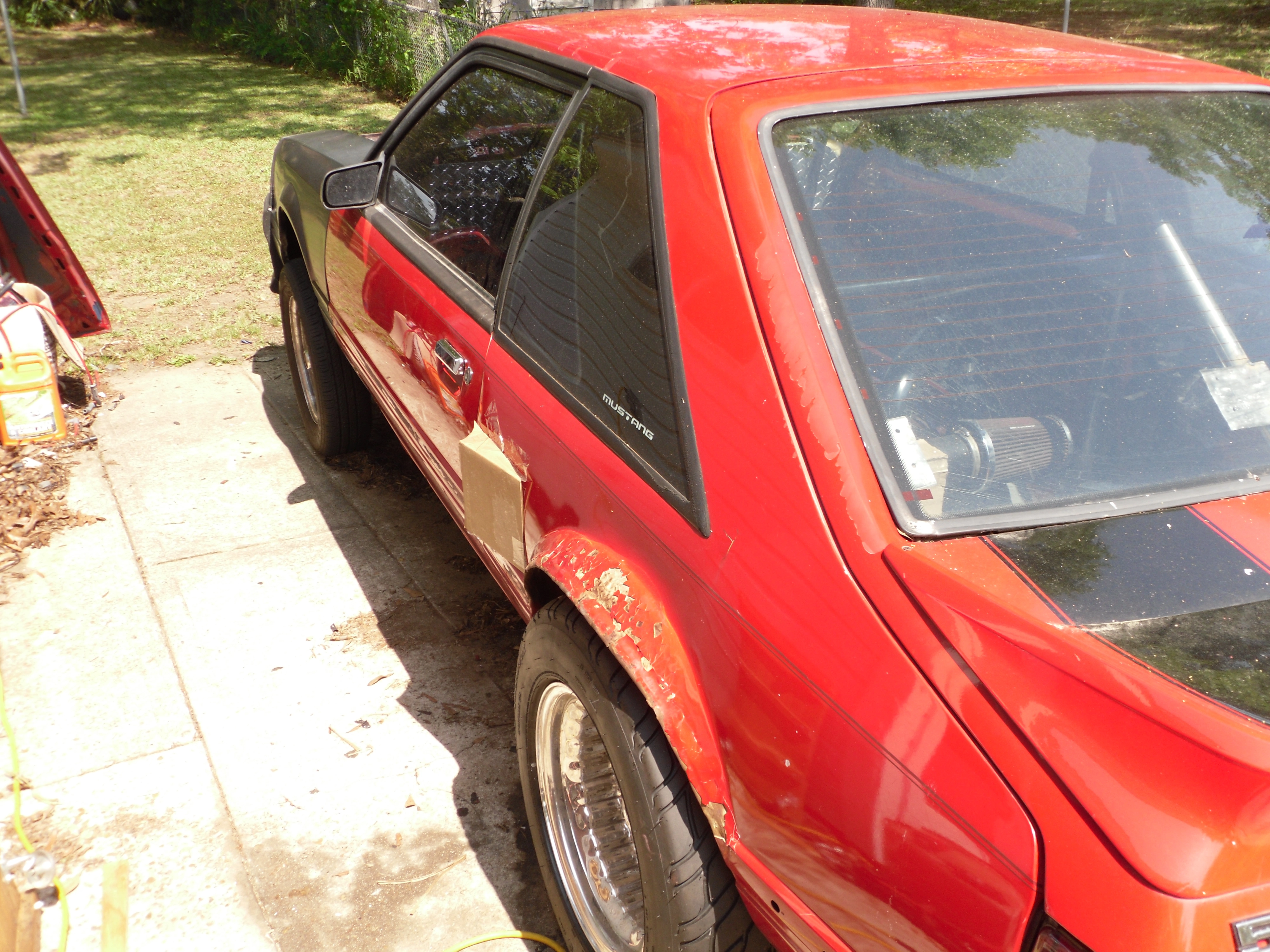 rearviewofscoop.webp