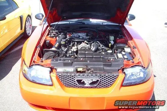 red-gt-at-show1008.webp