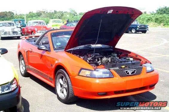 red-gt-at-show1009.webp