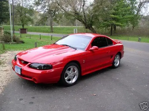 Red1.webp