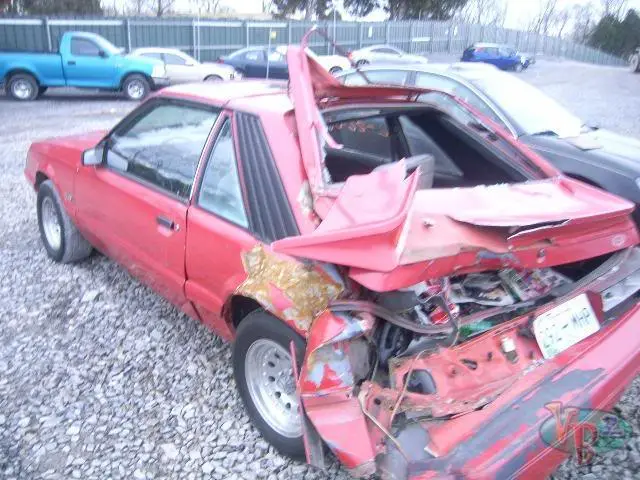red85_3.webp