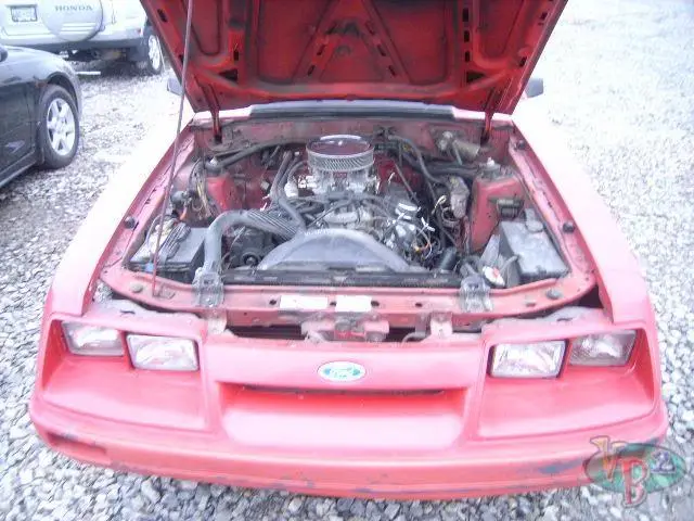 red85_4.webp