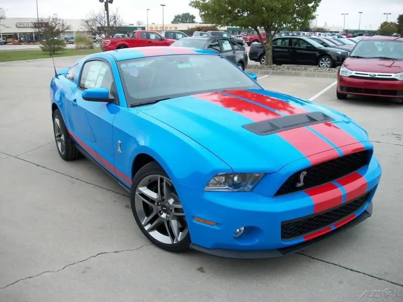 redbluefront.webp