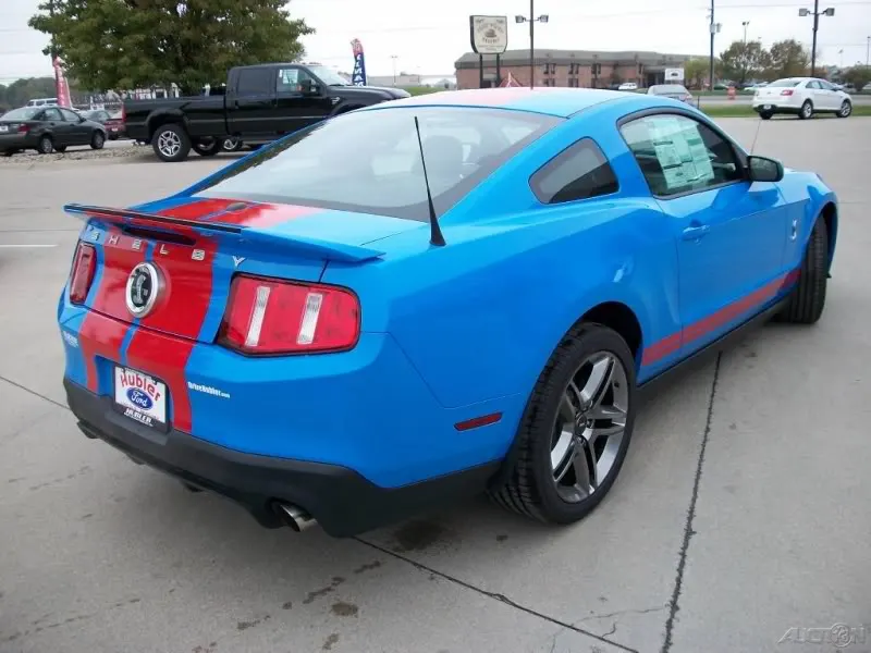 redbluerear.webp