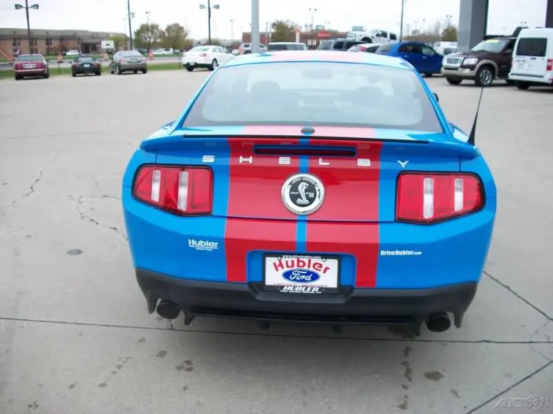 redbluerear2.webp