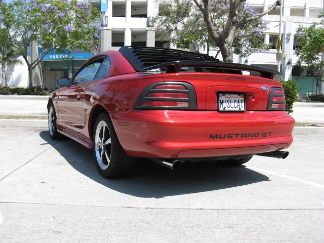 redhead_20100704_3.webp
