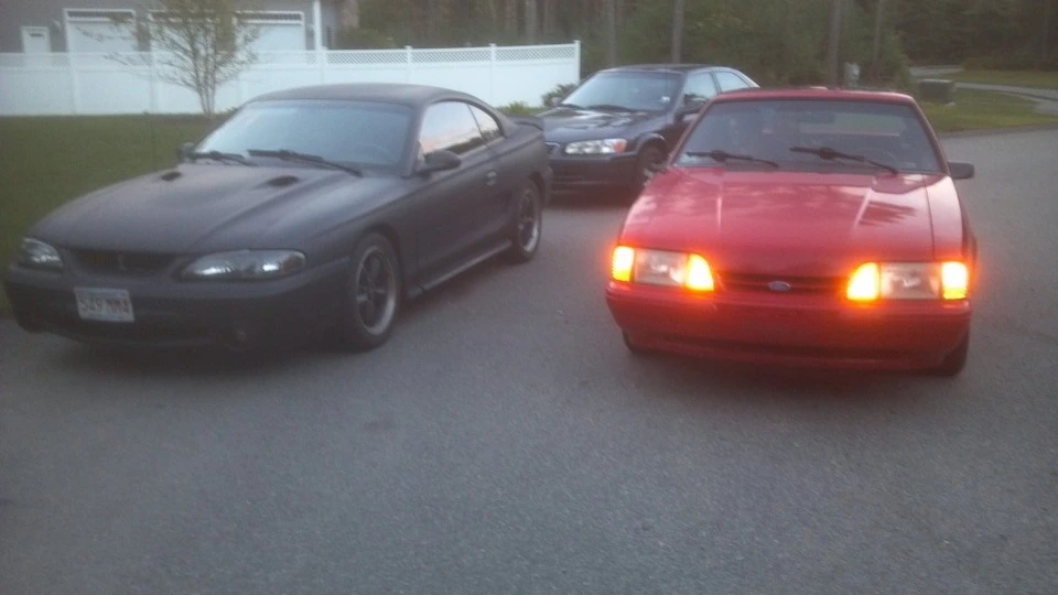 redstang.webp