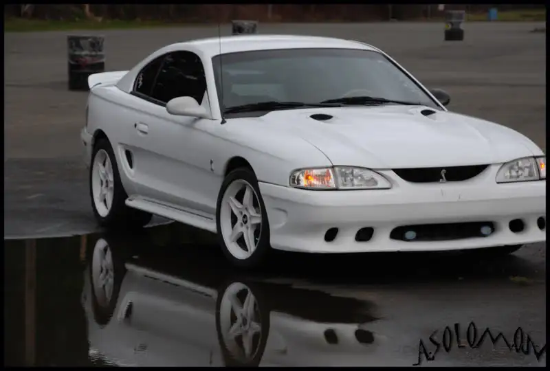 reflection.webp