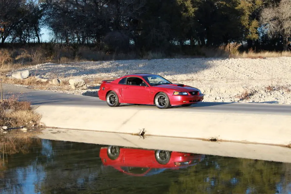 ReflectionPic3.webp