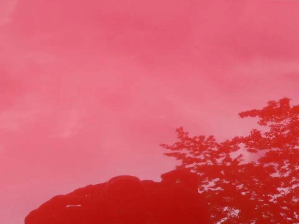 resized3wp6.webp