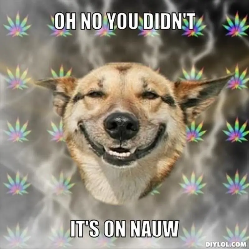 resized_stoner-dog-meme-generator-oh-no-you-didn-t-it-s-on-nauw-3a7ead.webp