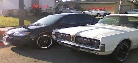 resizedionandcougar.webp