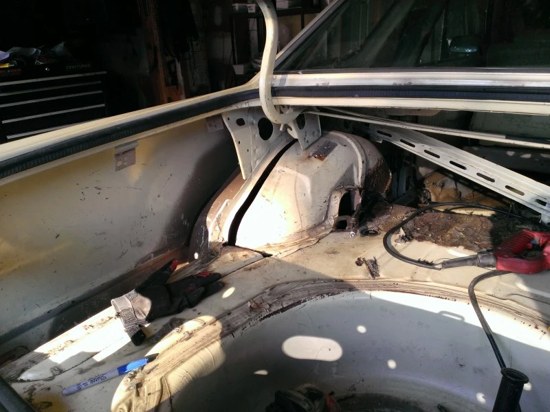 rgxe.webp