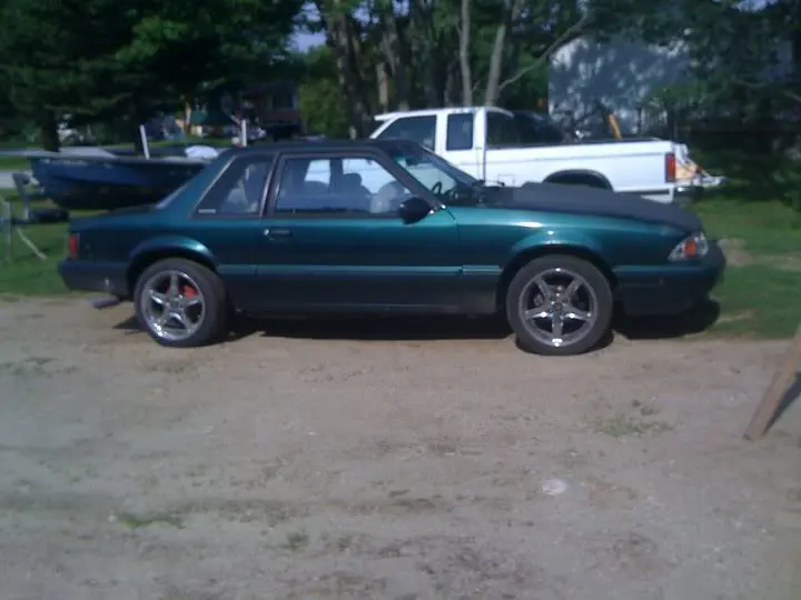 ricer2.webp