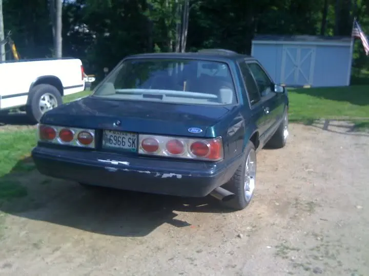 ricer3.webp