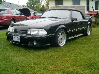 ricksMustangs025.webp