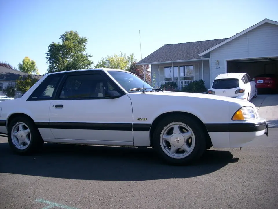 rightside.webp