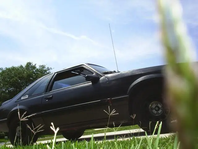 rightside.webp